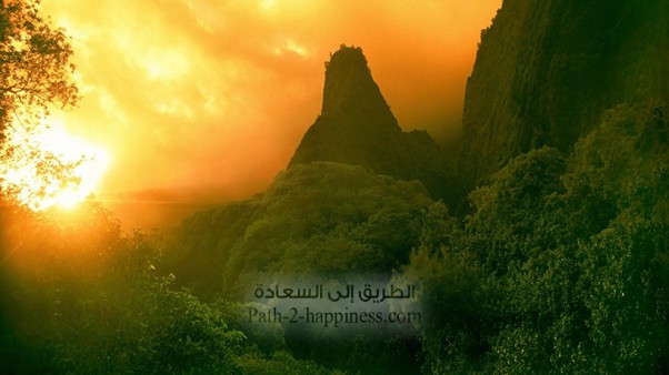 የእምነት አስፈላጊነት