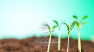 نور السماء (حاجة الإنسان إلى الرسالة)