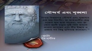 সৌন্দর্য এবং শৃঙ্খলা