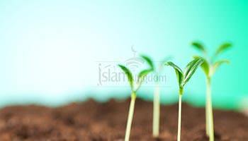  Paling Mulia Di Antara Manusia Yang Mulia 