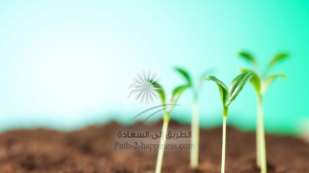 A Light from Heaven (Mankind’s need for the message)