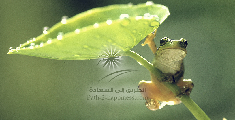 دلایل ربوبیت