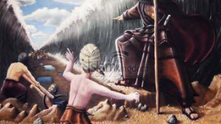  3. Nabi Musa -alaihis salam- 