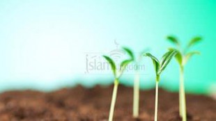 आकाशीय प्रकाश (मानव के लिए ईशदेवत्व की आवश्यकता)