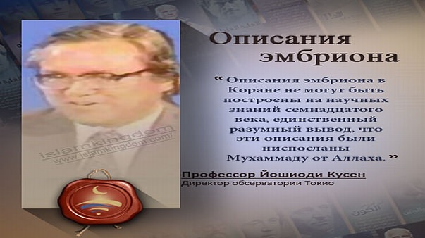 Описания эмбриона