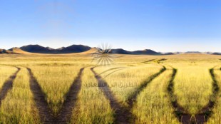 Изменения и преобразования