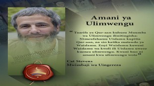 伊斯兰是全世界的和平